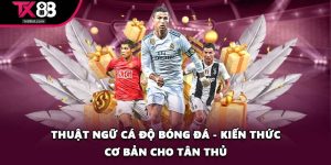 thuật ngữ cá độ bóng đá