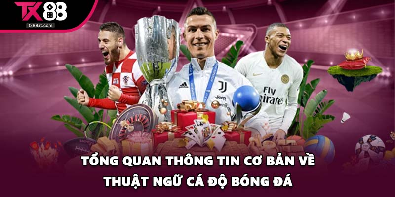 Tổng quan thông tin cơ bản về thuật ngữ cá độ bóng đá