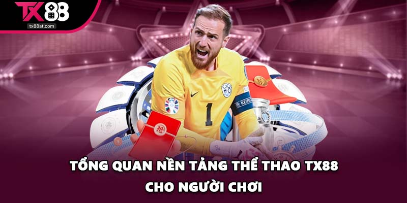 Tổng quan nền tảng thể thao TX88 cho người chơi
